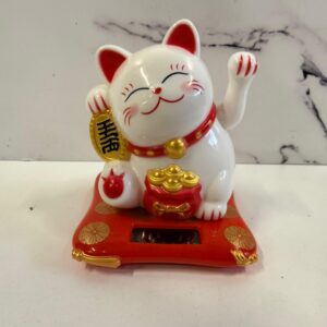 Gato Solar Blanco