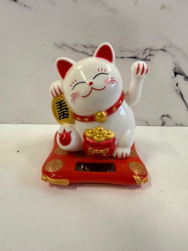 Gato Solar Blanco